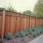 Redwood Fence, San Rafael, CA
