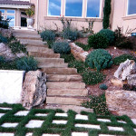 Stone Slab Steps, Fairfax, CA