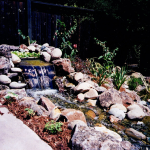 Garden Stream, Novato, CA